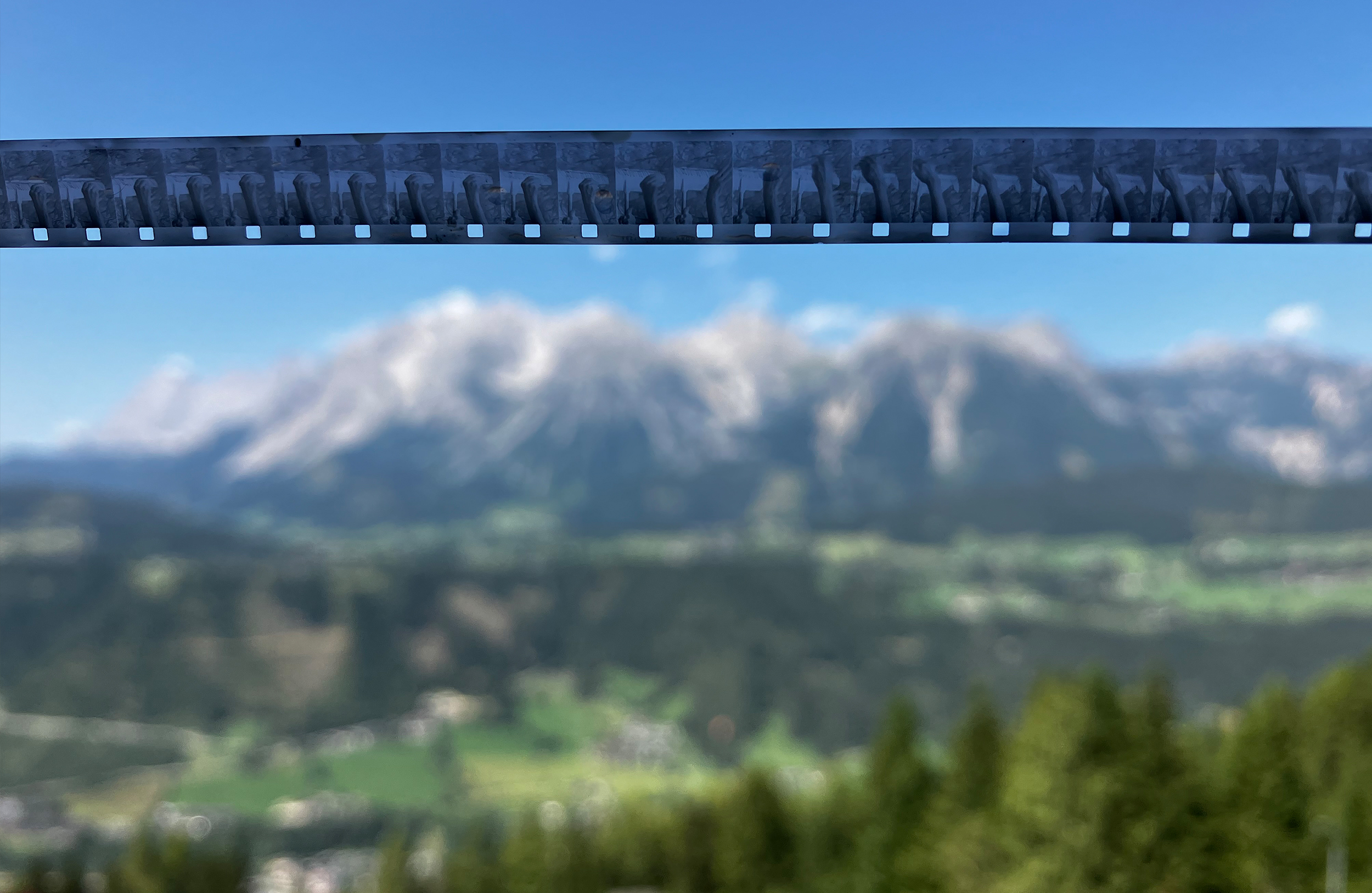 Filme mit Heidelbeeren entwickeln