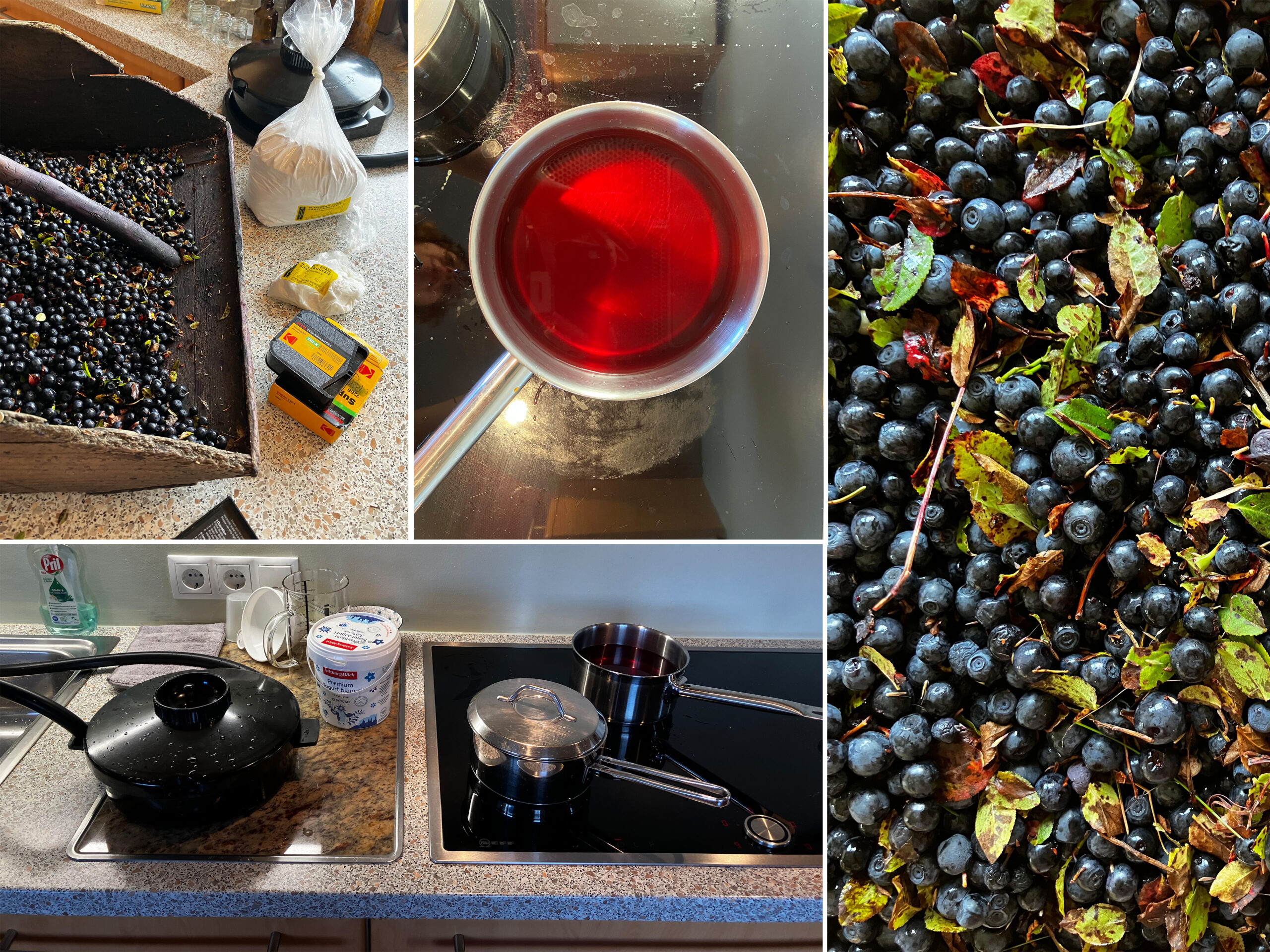 heidelbeeren01-Kopie-207c15c589bf152b7abed76e30a5cf3d