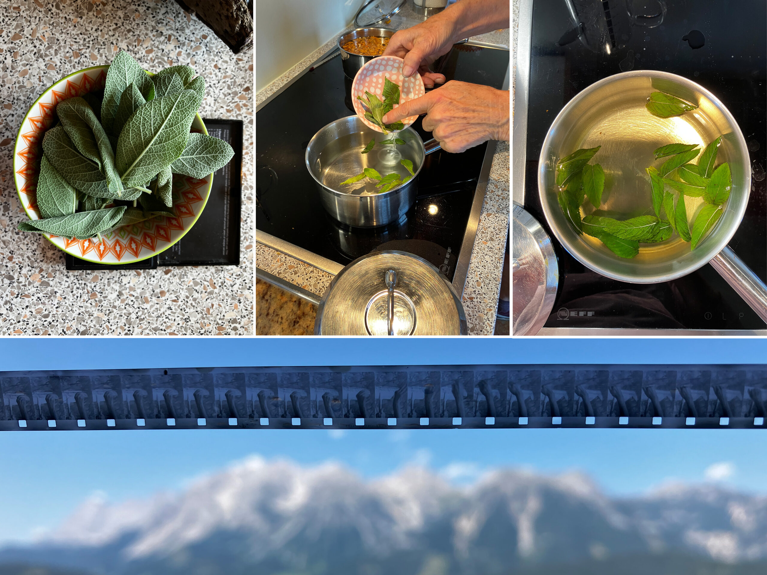 heidelbeeren02-Kopie-f395cce6ef4ef3e3544c59b868469562