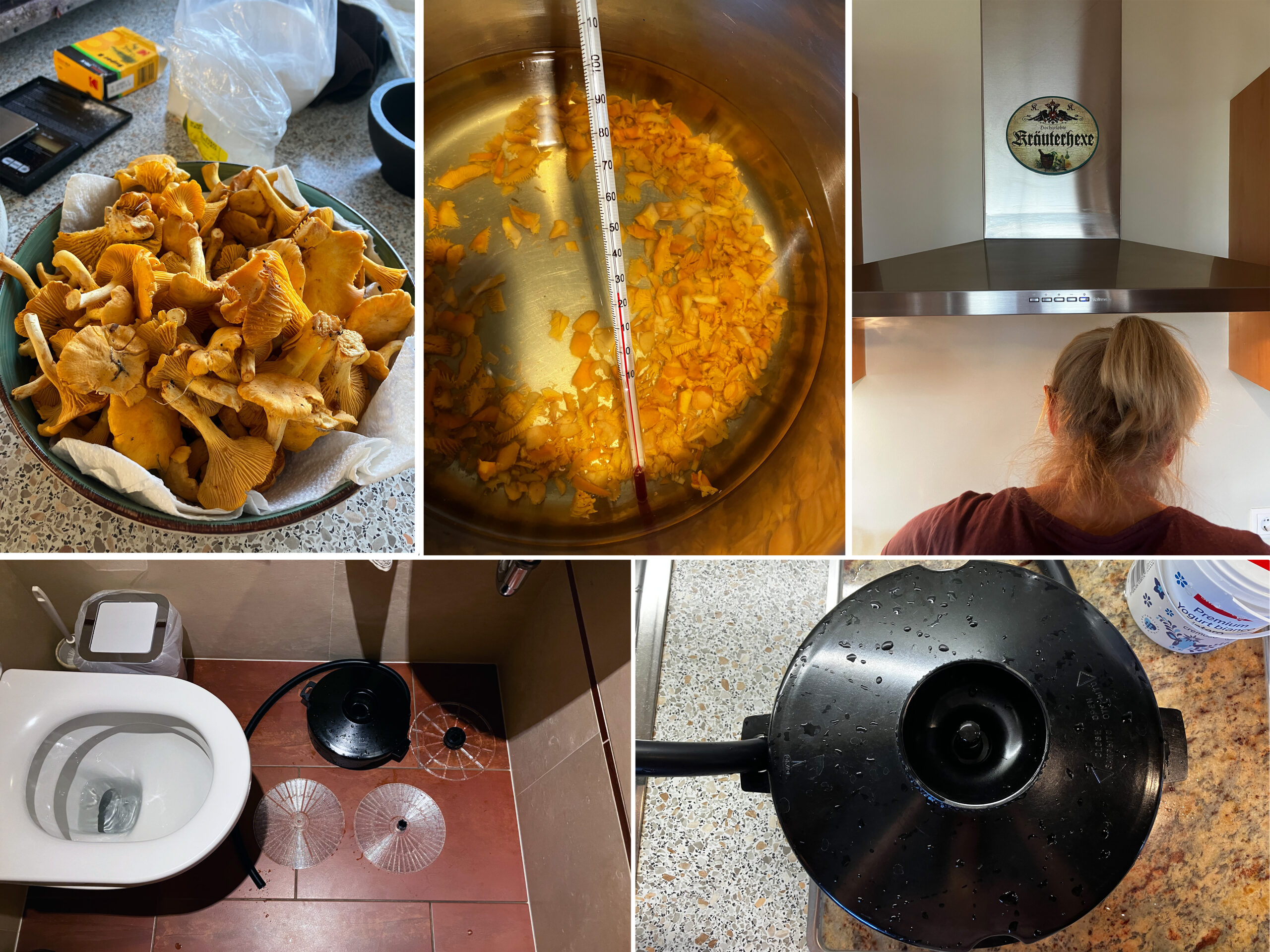 heidelbeeren03-Kopie-184dea94860744e7a95fdf56c8a2945b