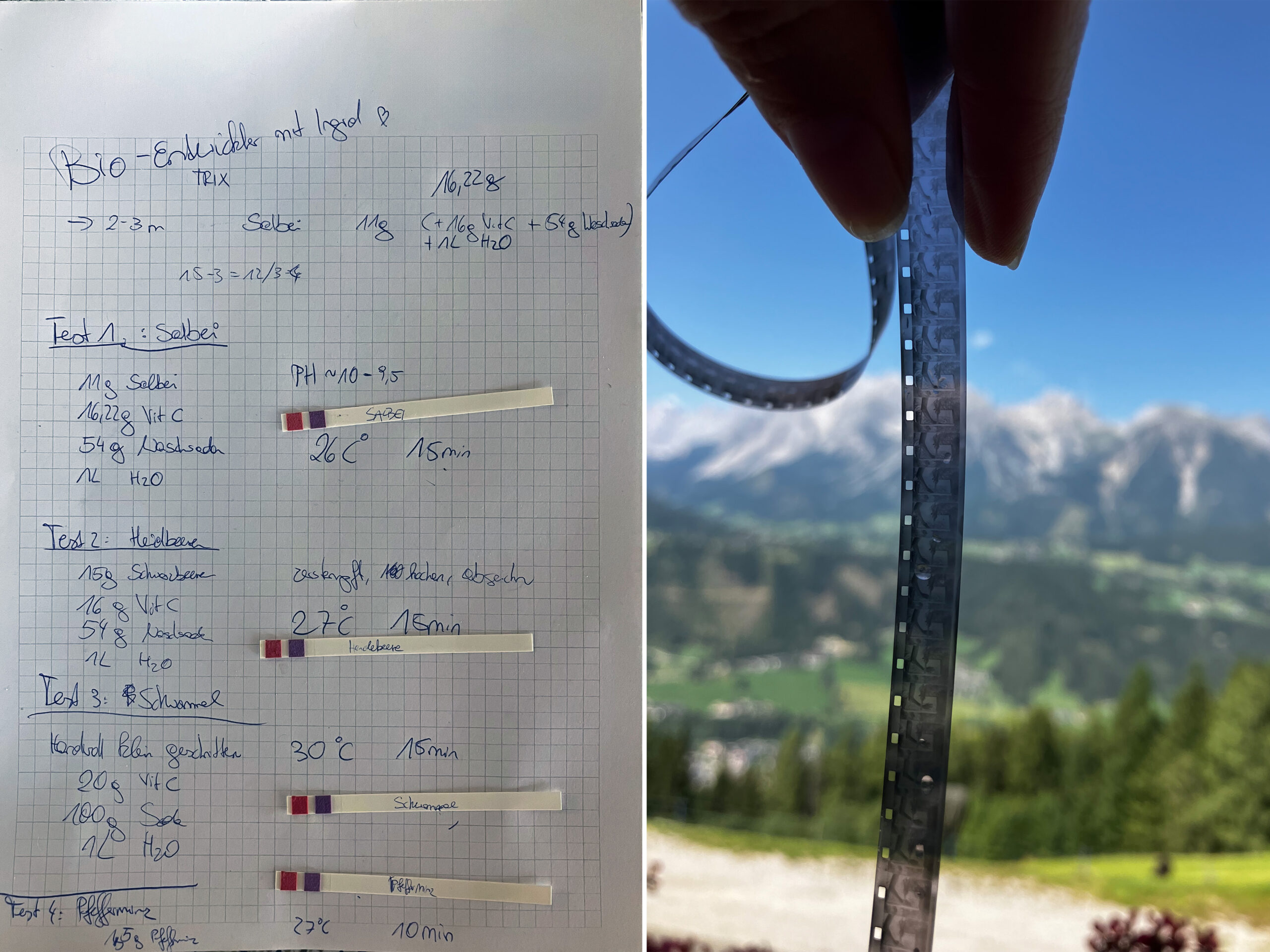 heidelbeeren04-Kopie-905bb6d40329e3ed15aa20feb777f47e