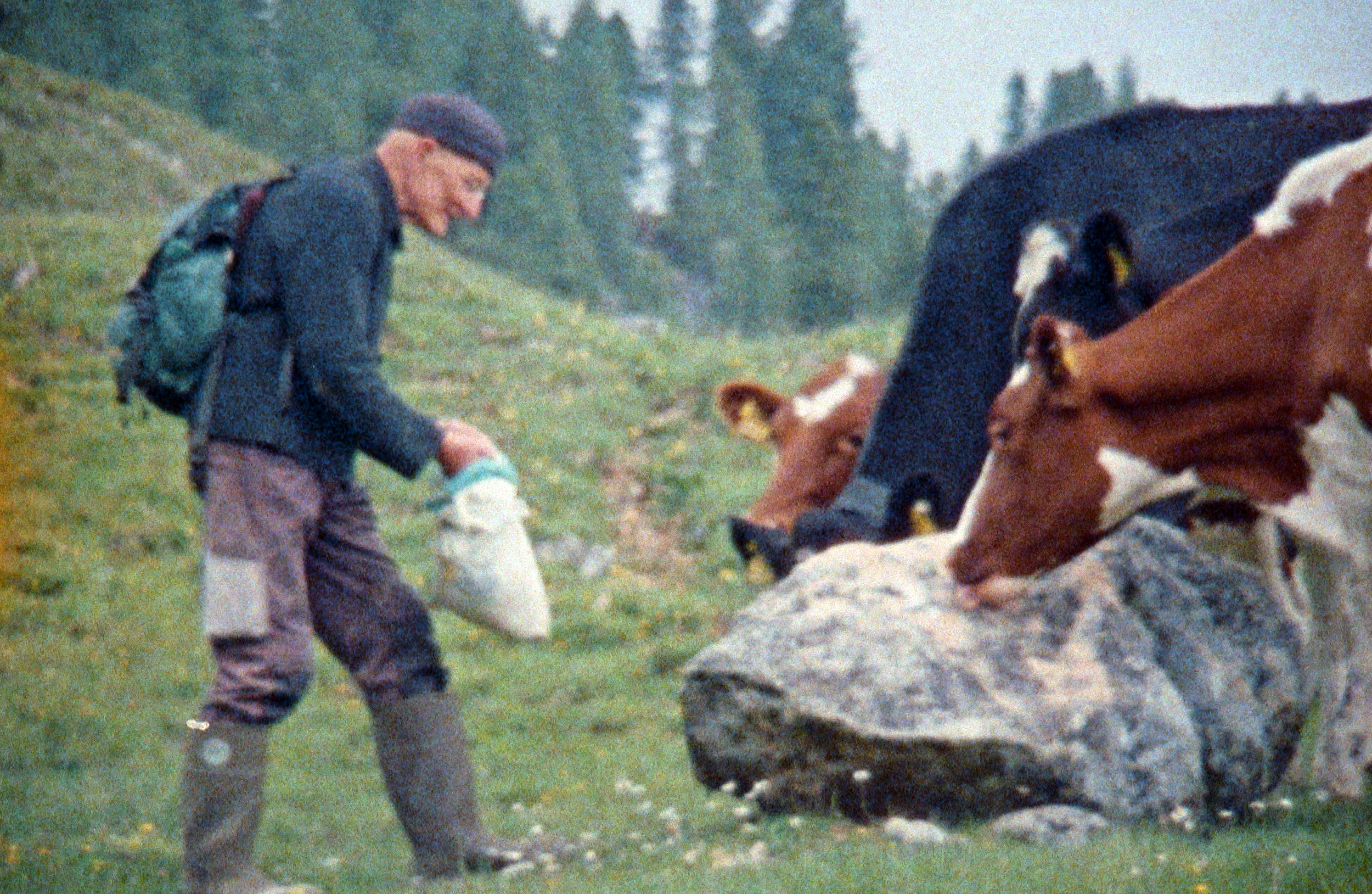 SIG_Bilder_va_START-3