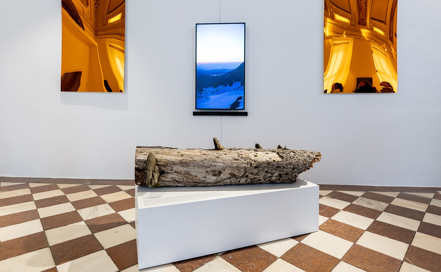 LS24_Signal_Ausstellung_01_c_Nikola_Milatovic