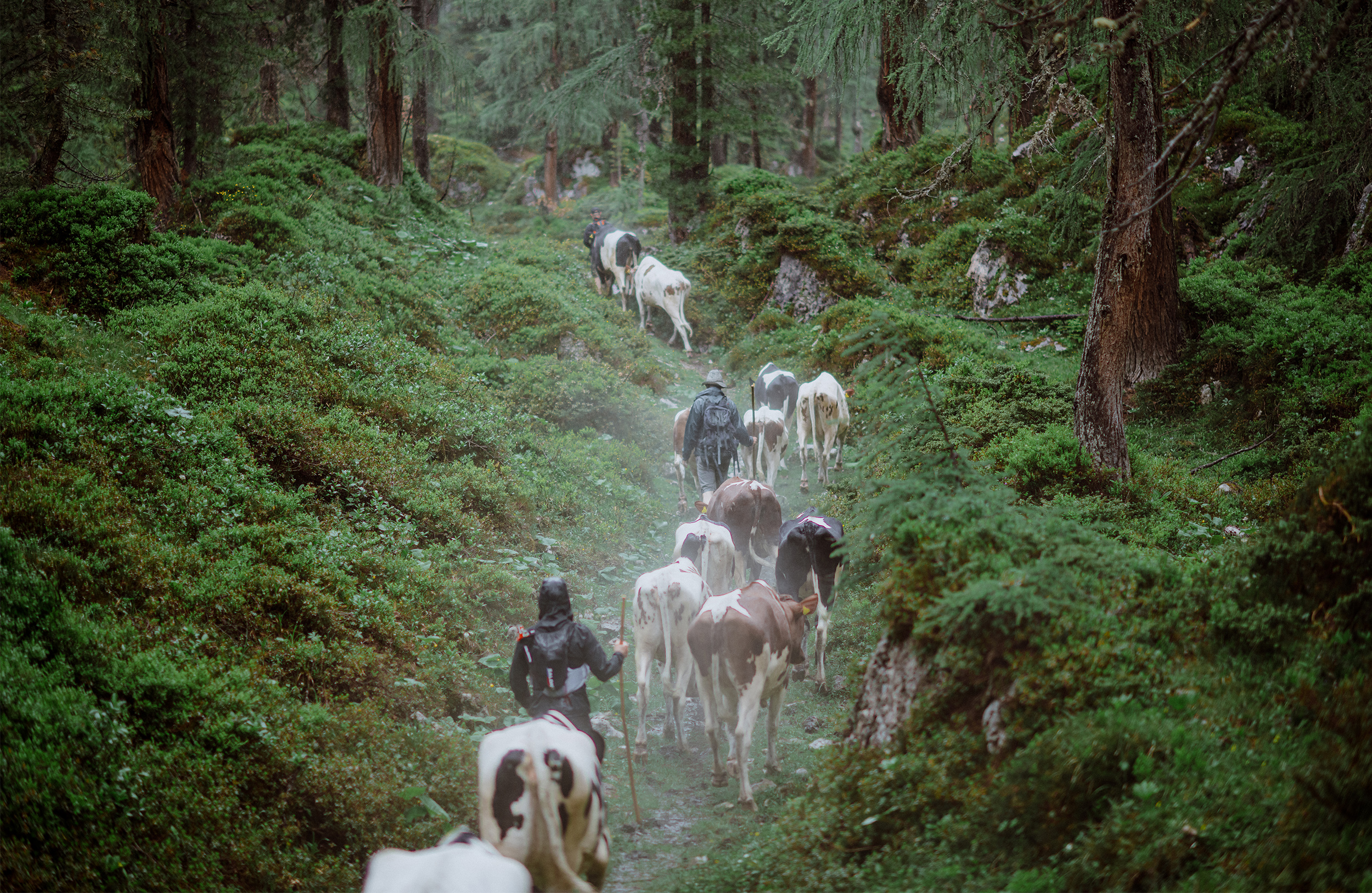 LS25_Bilder_HP_0003_Christoph_huber_c_1_quer_01